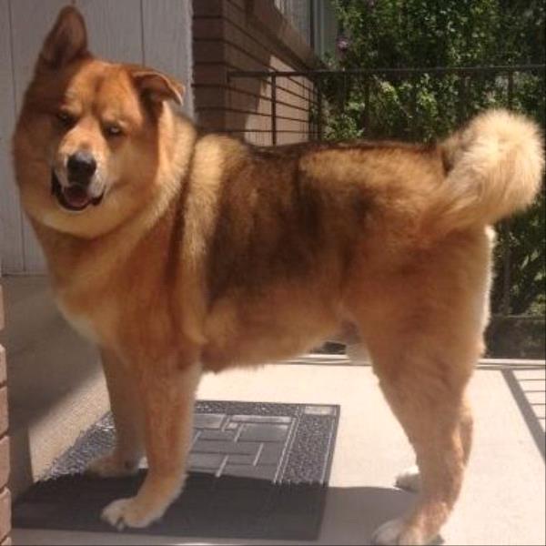 /Images/uploads/Humane Society of Utah/HSUCalendar/entries/1294thumb.jpg